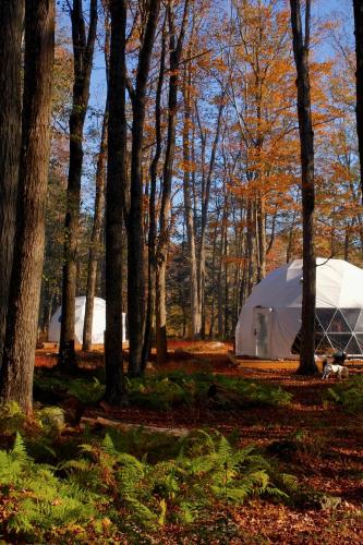ferncrest campground