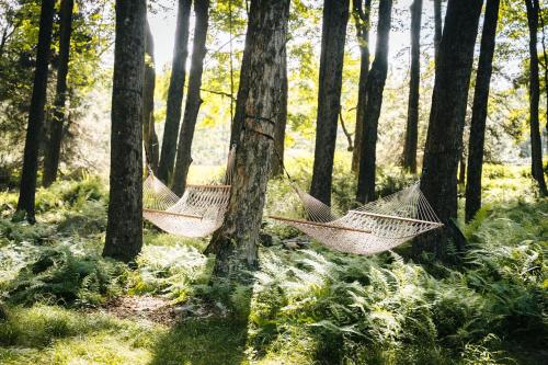 ferncrest campground