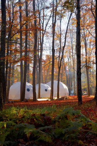 ferncrest campground