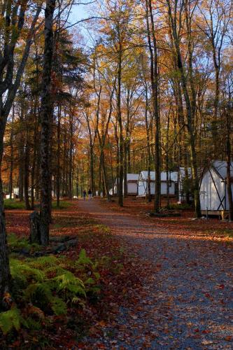 ferncrest campground