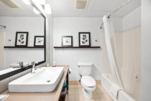 independence stay hotel and suites