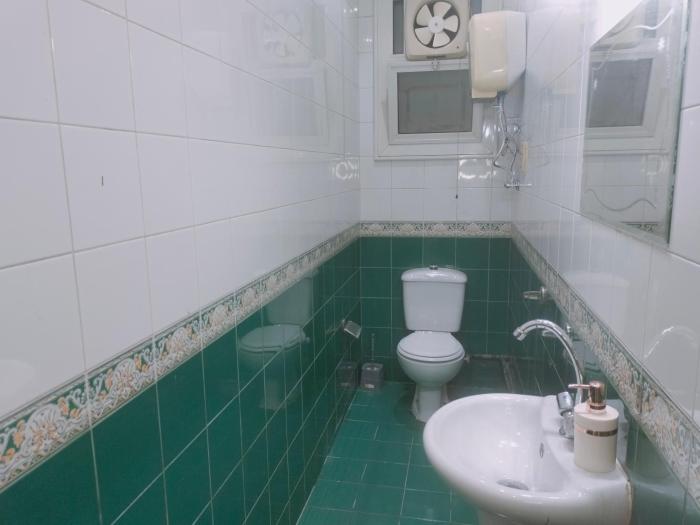 royal apartment in talaat harb downtown