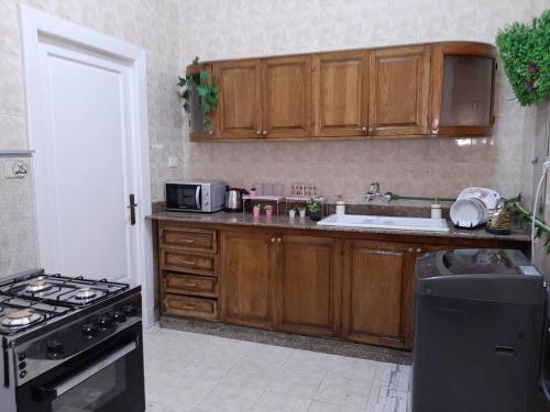royal apartment in talaat harb downtown