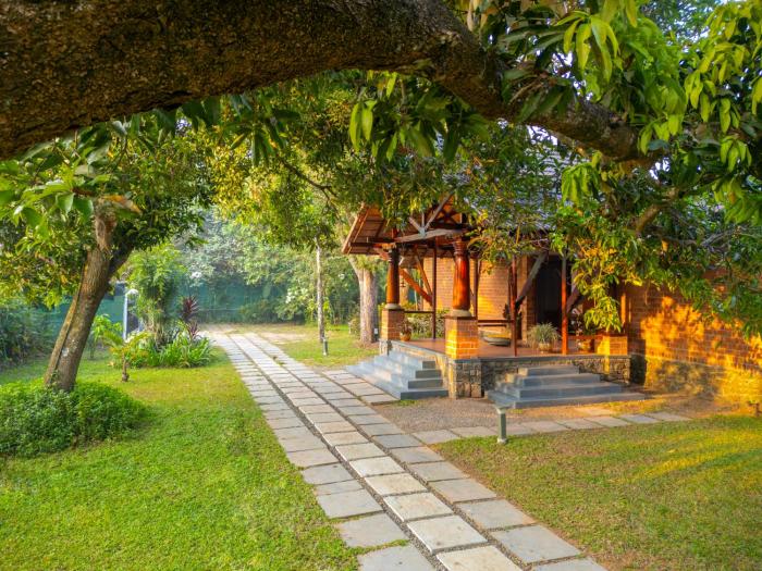 ama stays and trails lily pad kumarakom