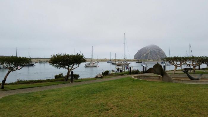 morro shores inn and suites