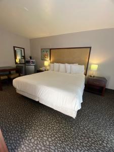 morro shores inn and suites