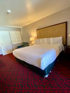 morro shores inn and suites