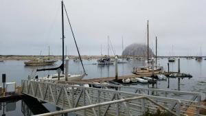 morro shores inn and suites