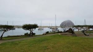 morro shores inn and suites