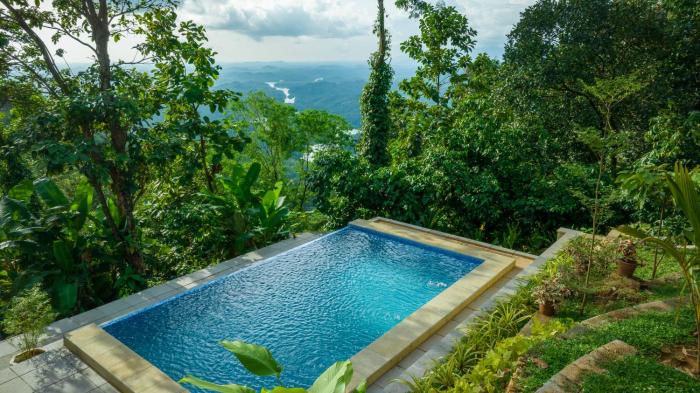 ama stays and trails the malabar villa hibiscus kozhikode