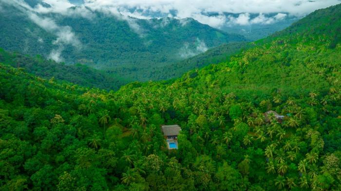 ama stays and trails the malabar villa hibiscus kozhikode