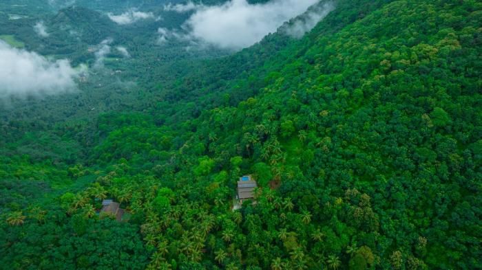 ama stays and trails the malabar villa hibiscus kozhikode