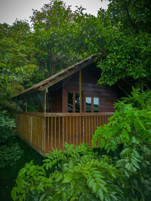 ama stays and trails the malabar villa hibiscus kozhikode