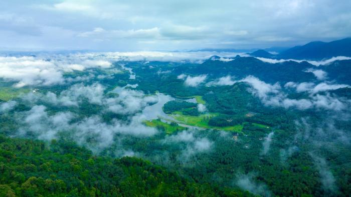 ama stays and trails the malabar villa hibiscus kozhikode