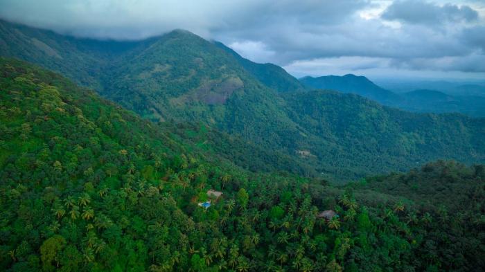 ama stays and trails the malabar villa hibiscus kozhikode