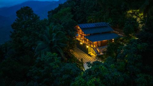 ama stays and trails the malabar villa hibiscus kozhikode