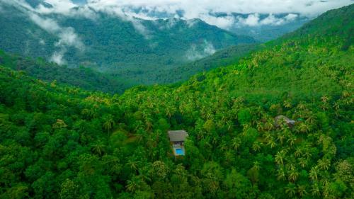 ama stays and trails the malabar villa hibiscus kozhikode