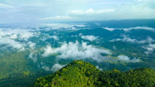 ama stays and trails the malabar villa hibiscus kozhikode