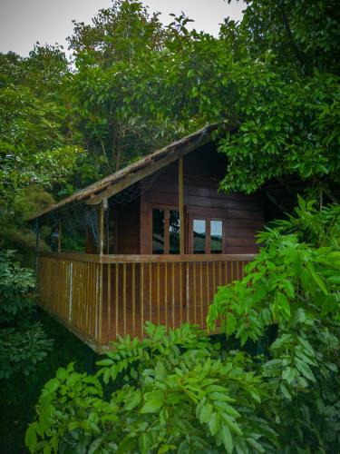 ama stays and trails the malabar villa hibiscus kozhikode