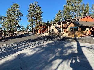 motel in the pines