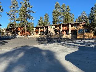 motel in the pines