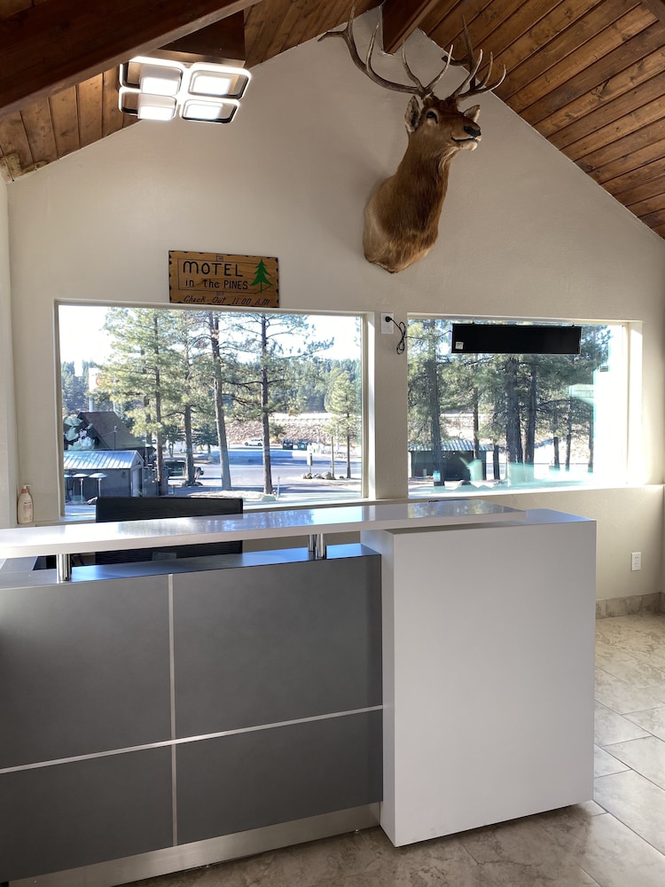 motel in the pines