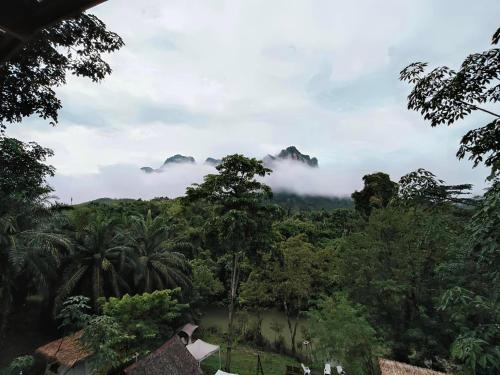 amornkeeree khao sok camping