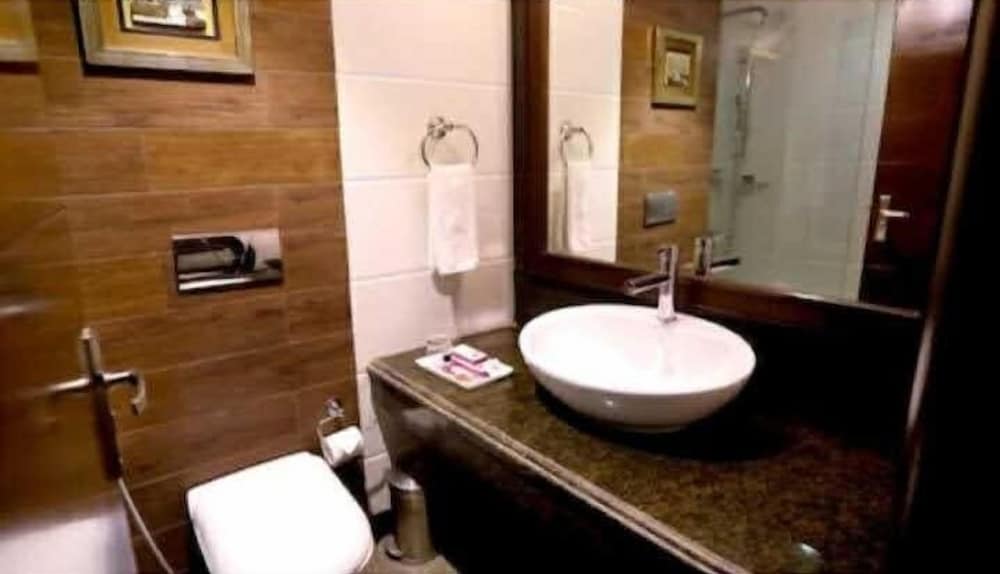 hotel pitrashish pride delhi igi airport