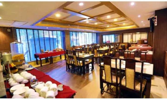 hotel pitrashish pride delhi igi airport