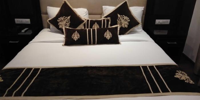 hotel pitrashish pride delhi igi airport