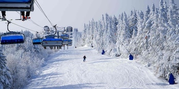chalet 239