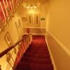 wedgewood hotel