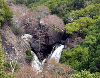 lucia lodge