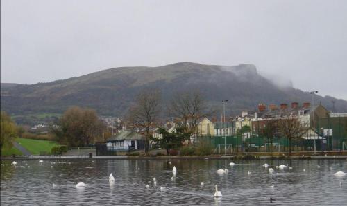 2 bed apartment in belfast near city centre