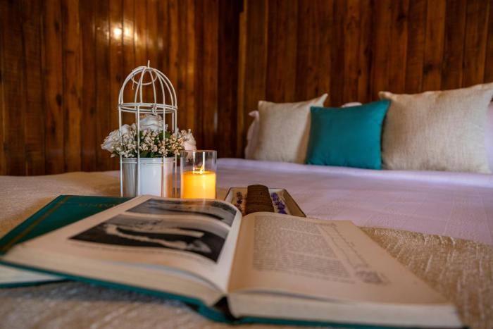 ama stays and trails aquabliss alleppey