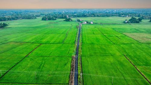 ama stays and trails aquabliss alleppey