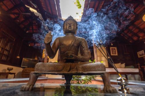 ama stays and trails aquabliss alleppey