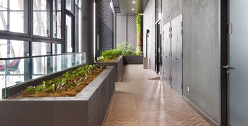 scarletz suites by travelet experience
