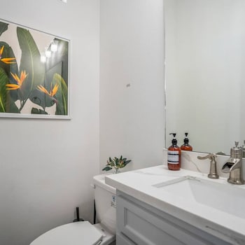 urban jungle retreat in the htx skyline
