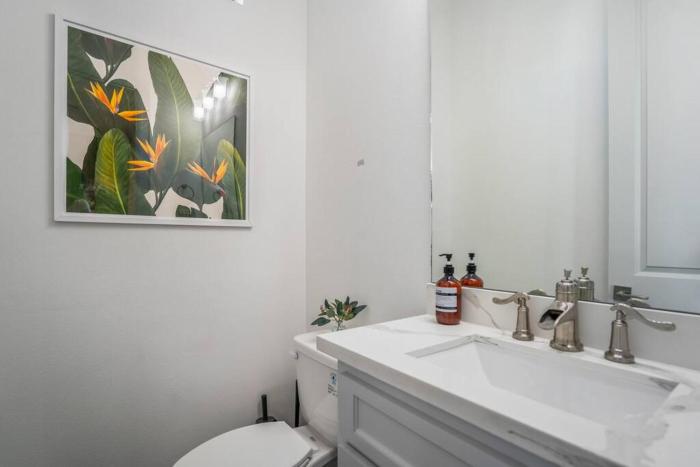 urban jungle retreat in the htx skyline