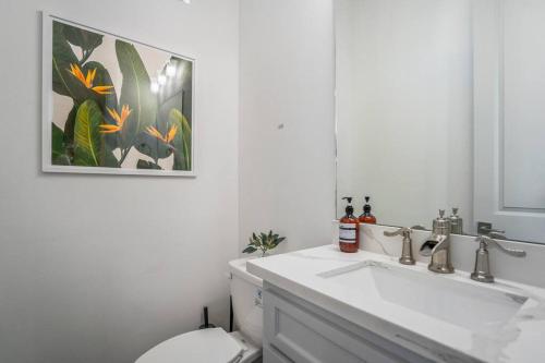 urban jungle retreat in the htx skyline