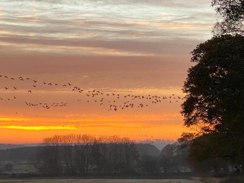 shepherd hut glamping in northumberland