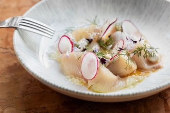 imperial riding school autograph collection