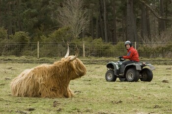 The Crossing,,2 star