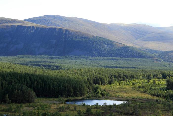 kingussie