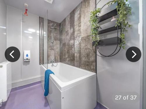 immaculate 6 bed ivy house