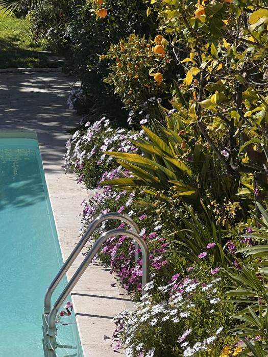 les petites terrasses