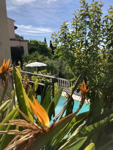 les petites terrasses