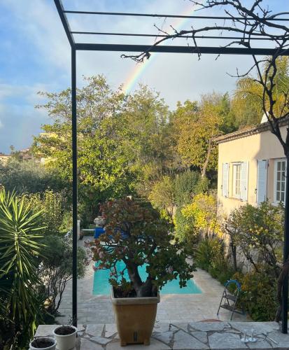 les petites terrasses