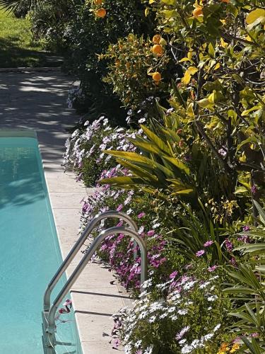 les petites terrasses
